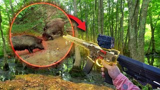 Hunting Nasty Invasive Wild Hogs Using 24 Karat Gold Rifle - Epic Fail