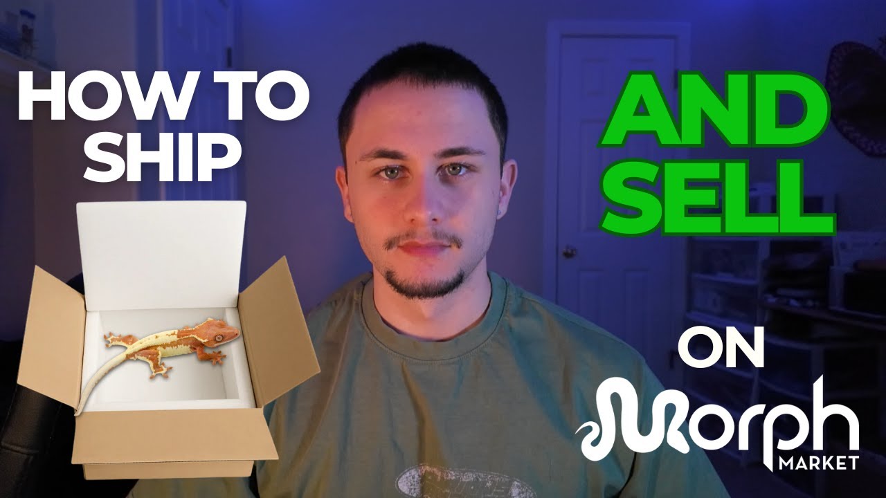 How to Ship and Sell on Morph Market