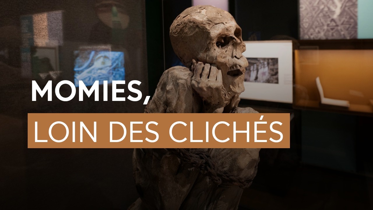 Momies : idées reçues et voies de recherche