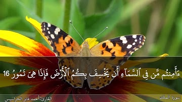 سورة الملك كاملة مكتوبة ومسموعة بصوت القارئ احمد الحراسيس