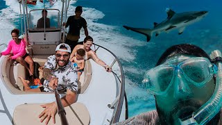 Alugamos Um Barco, Nadei Em Alto Mar E Um Tubarão Apareceu Do Meu Lado