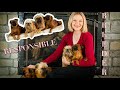 ETHICAL BREEDER | BUYING DOG FROM BREEDER | HOW TO FIND GOOD BREEDER の動画、YouTube動画。