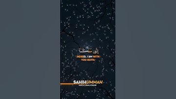 Surah Taha (سورة طه) AYAT 46 | محمد ديبيروف - Muhammad Dibirov