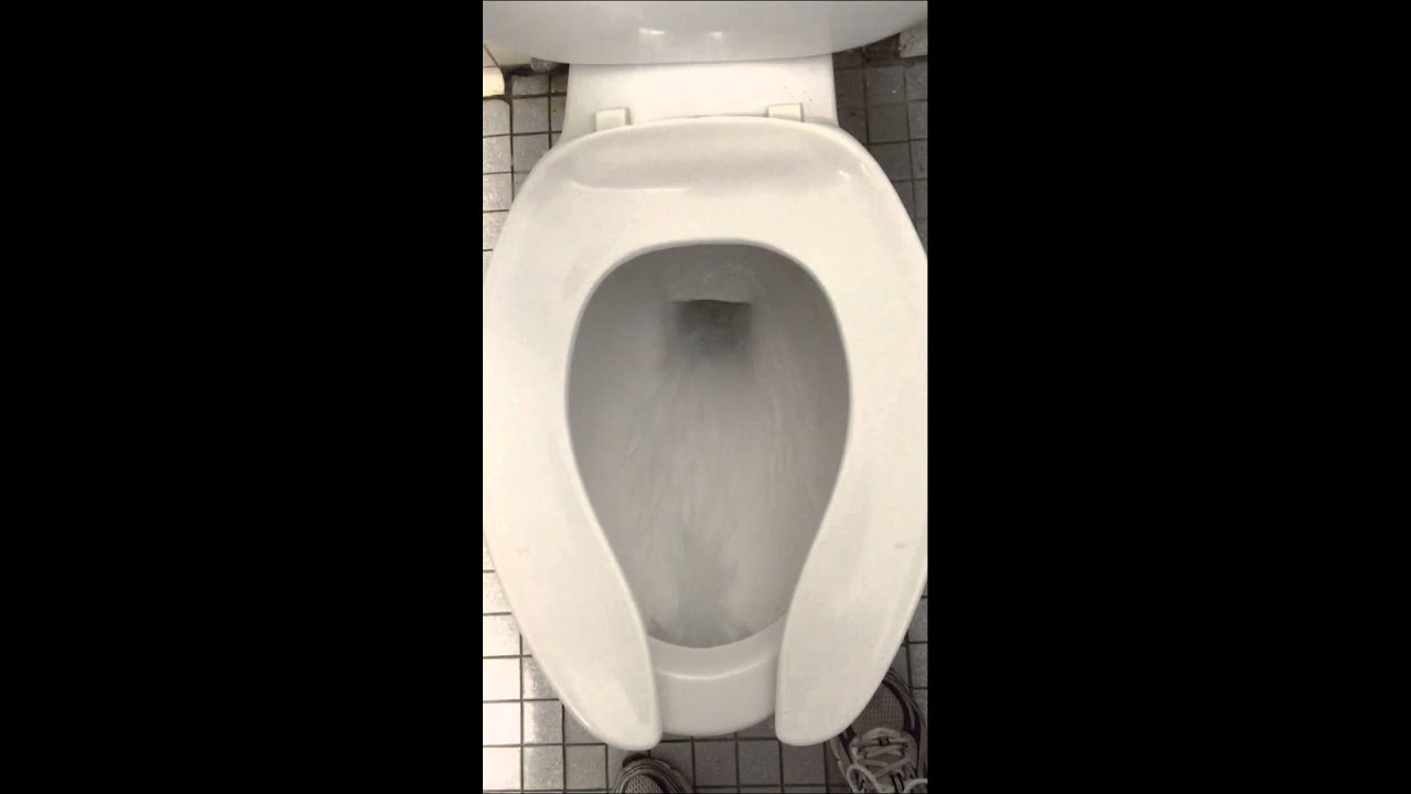 eljer patrician toilet