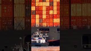Tugboats Assist Giant Ship in Los Angeles Harbor 🇺🇸🚢 #shorts #containership #tiktok #ships #viral
