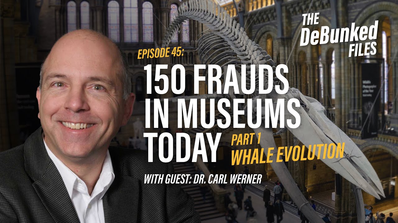 150 Frauds in Museums Today - Part 1: Whale Evolution | The DeBunked ...