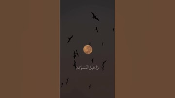 القارئ : عبد الرحمن مسعد ﴿ زُيِّنَ لِلنَّاسِ حُبُّ الشَّهَوَاتِ مِنَ النِّسَاءِ﴾[ سورة آل عمران: 14]