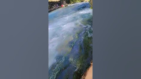 ما تيسر من سورة الغاشية بصوت الشيخ عبد الرحمن مسعد 🌿#اكسبلور #لايك #المغرب #الجزائر #العراق 🔋🔋