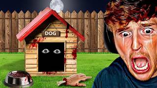 that is not my dog.. screenshot 5