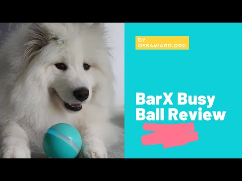 BarxBuddy BusyBall Reviews 2021:Best Toy Ball For Dogs!