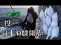 【北海道釣り】ニシン産卵のあとは、 良型マガレイ入れ食い❗️【北海道 釣り】