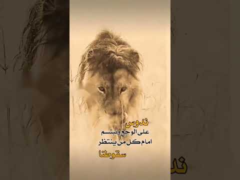 كل من ينتظر سقوطنا