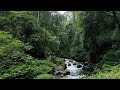 Relaxing Piano Music with Flowing River Sounds 🌊 Deep Sleep, Stress Relief & Calm Mind (8 Hours)