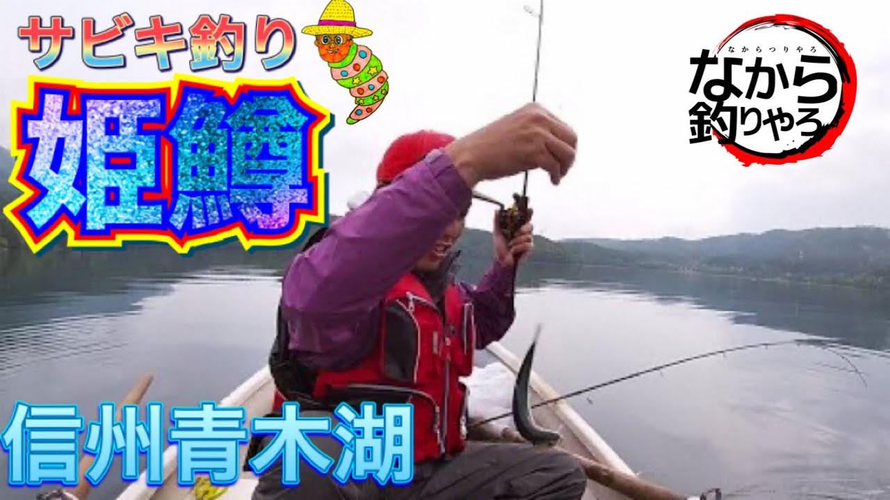 信州長野 青木湖ヒメマス釣り サビキ釣りで今年の青木湖を調査 Youtube