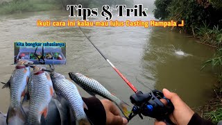 Tips & Trik Casting Hampala, ikuti cara ini kalau mau lulus Casting Hampala..!