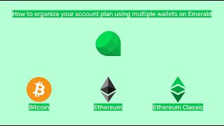 How to organize your account plan using multiple wallets on Emerald screenshot 1