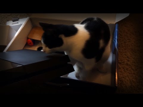 Playstation 4 Unboxing Video with My Cat Olive