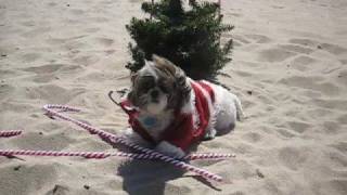 Behind The Scenes With Madison