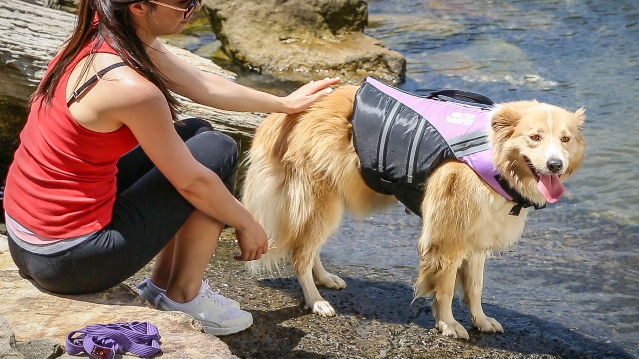 Water Woofer Lifejackets for Dogs 