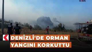 Denizli'de orman yangını korkuttu Denizli'de orman yangını korkuttu