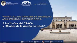 17. A los 11 años del CPACA y 30 años de la Acción de Tutela   Control de constitucionalidad CE