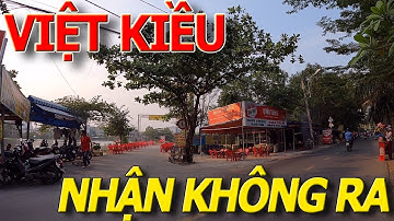 Tình hình CHỢ GÒ VẤP ngày giáp tết - TỔNG Y VIỆN CỘNG HÒA đến ngã 5 CHUỒNG CHÓ I cuộc sống sài gòn