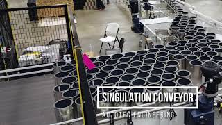 Depalletizing Robot & Singulation Conveyor Flyover | Autotec Solutions