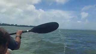 We Almost Near Tank But Wave Stronger In Ocean