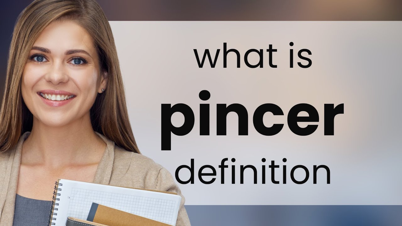 Pincer Grip Meaning In Tamil