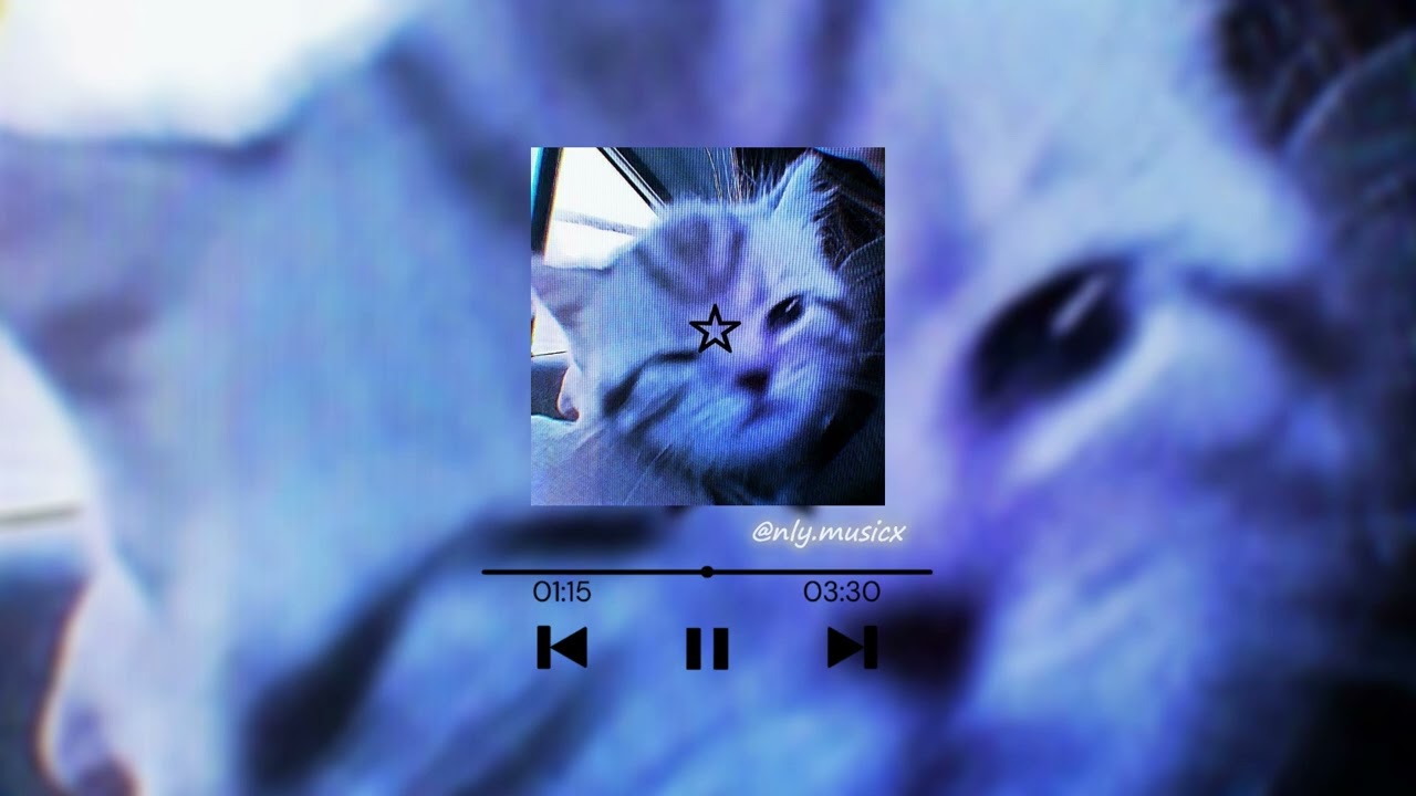 Gata only- Cris Mj & FloyyMenor || Speed up