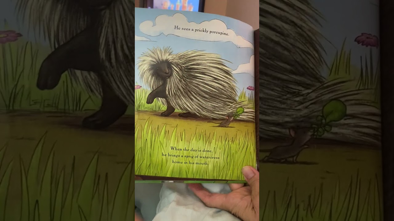 Короткая сказка на ночь «Такая маленькая мышка». Озвучено Алисой Шертл, иллюстрации Стефани Юэ.