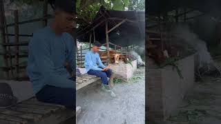 Lebih untung mana antara Breeding sapi atau penggemukan 🧐 #breedingsapi #suksesternaksapi #sapi
