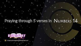 Day 131 of 1,189- Numbers 14 Meditation