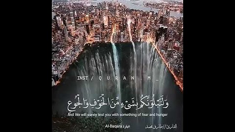تلاوة خاشعة بصوت القارئ طارق محمد/حالات واتس اب