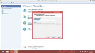 using vmware player for windows operating system