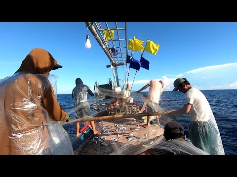 Video: Cách đánh Bắt Cá Vào Mùa Xuân: Bí Quyết Của Ngư Dân Năm
