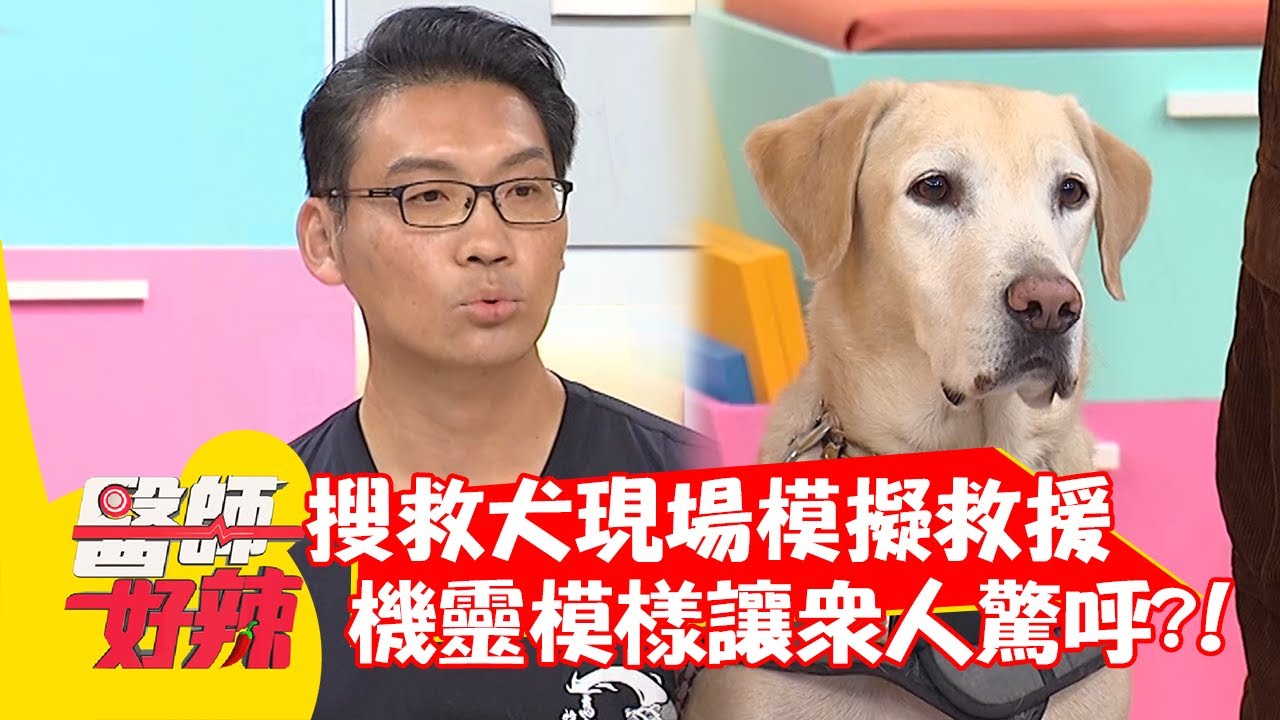 搜救犬現場模擬救援！機靈模樣讓眾人驚呼？！【#醫師好辣】20220120 part4 EP1274 賈蔚 阿布