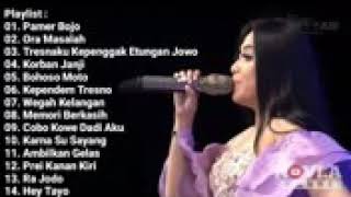 Top Hits - Pamer Bojo Dangdut Koplo Sur Sari