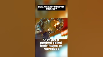 How Are Baby DINOBOTS Created?