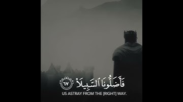 تلاوة خاشعة | إسلام صبحي 🍃💕 | حالات واتس اب دينية _ قرآن كريم 🌸.