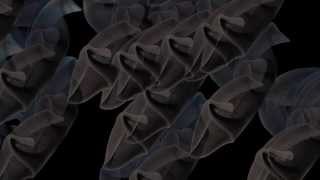 Neurospace Nsd-8 Antennae