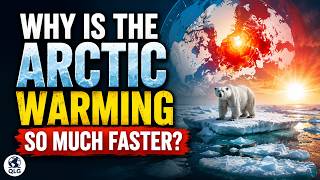 Why Is The Arctic Warming So Much Faster?