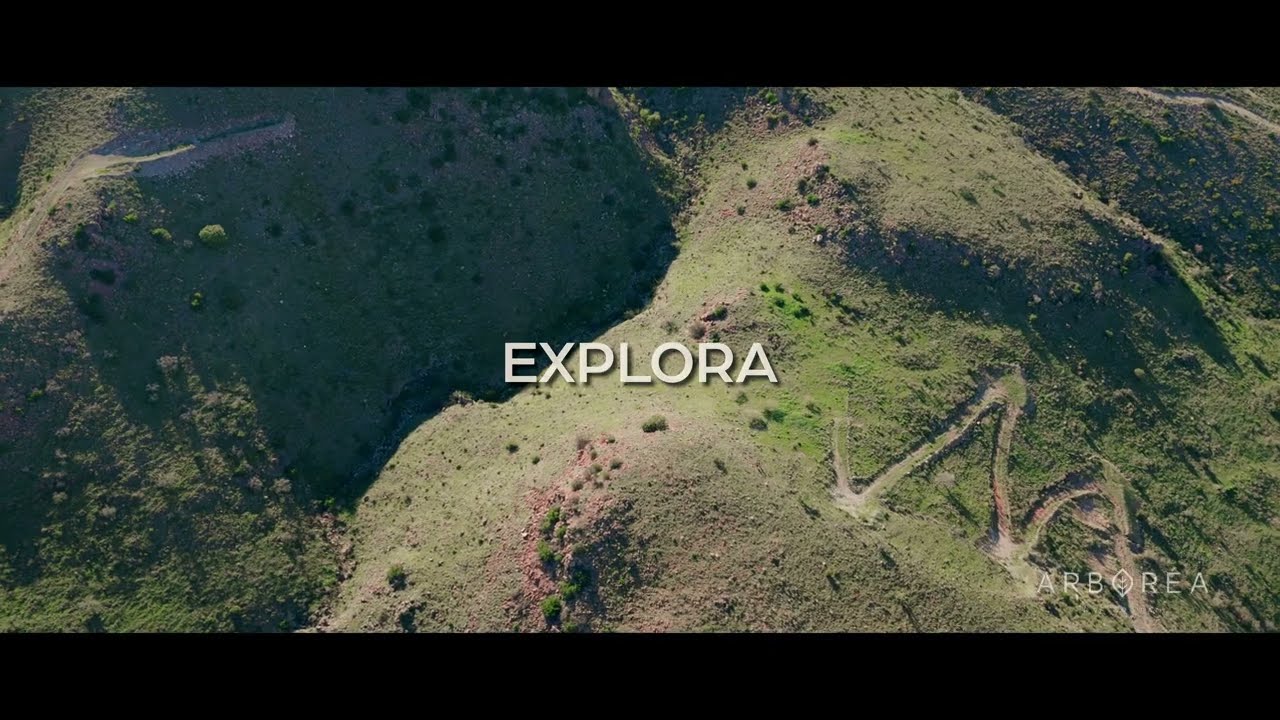 Civitas - Arborea