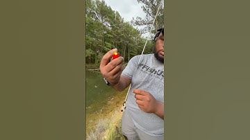 How to put on a bobber/cork! #fishing #crappie #bankfishing