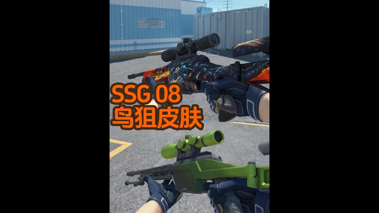 CS2皮肤推荐指南：16款SSG08鸟狙皮肤，CS2皮肤排名 今天给大家推荐16款高颜值的SSG 08皮肤大排名，介绍最好看的CS2游戏皮肤给 ...