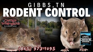Gibbs, TN Rodent Control Services (865) 973-1095 - Critter Wranglers, LLC
