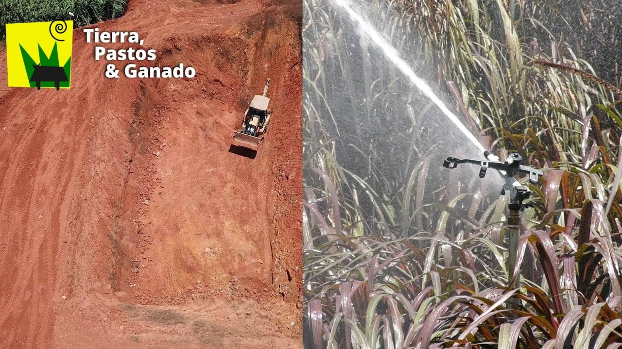 Construir Represa para Sistema de Riego