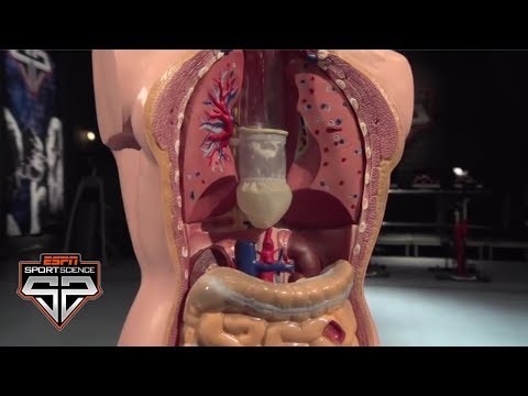 The Science Behind Competitive Eating | Sport Science | ESPN Archives