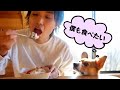 どうしてもパパのご飯が食べたい僕(コーギー)まとめ