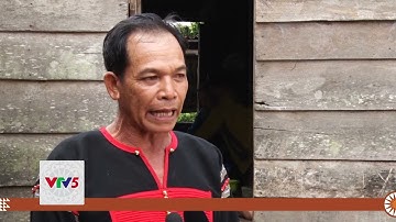 [TIẾNG Ê ĐÊ] LỄ CÚNG CHÉ CỦA ĐỒNG BÀO TÂY NGUYÊN | VTV5